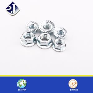 الجوز شفة جيجابايت